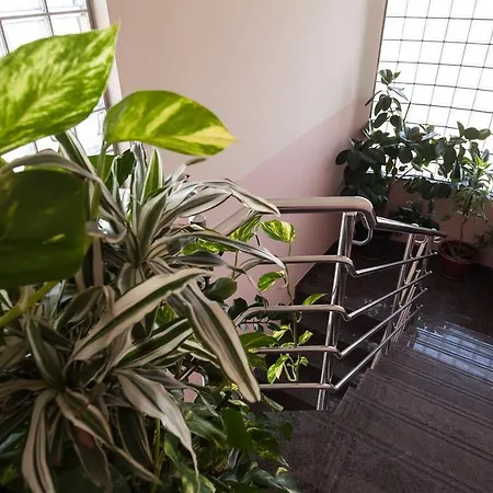 Apartmán Apartment Iva